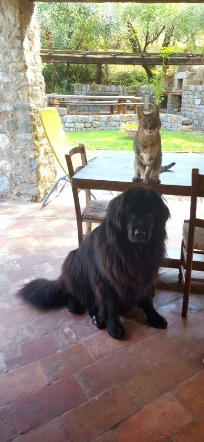 La Corte Del Falco Pieve a Nievole Zewnętrze zdjęcie