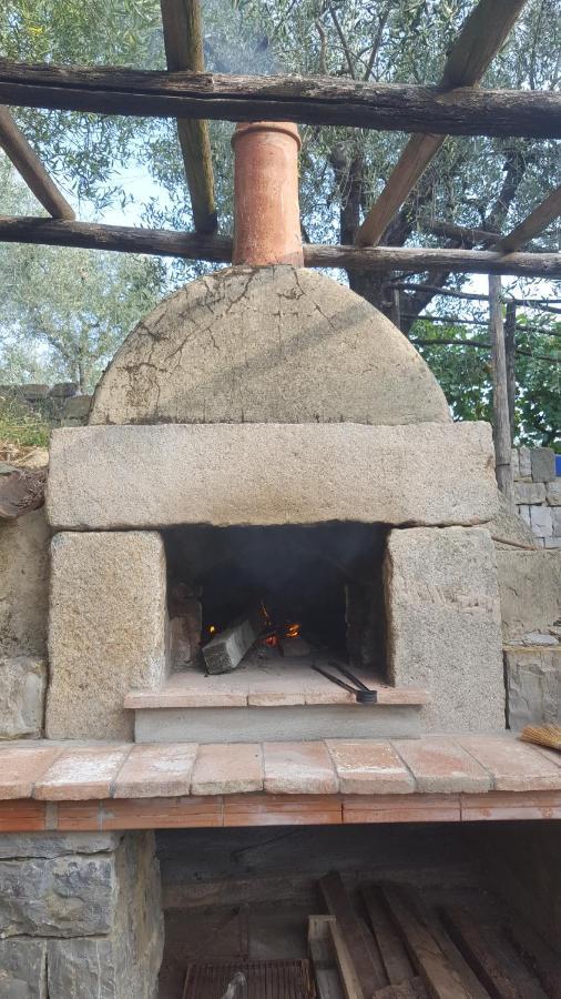 La Corte Del Falco Pieve a Nievole Zewnętrze zdjęcie