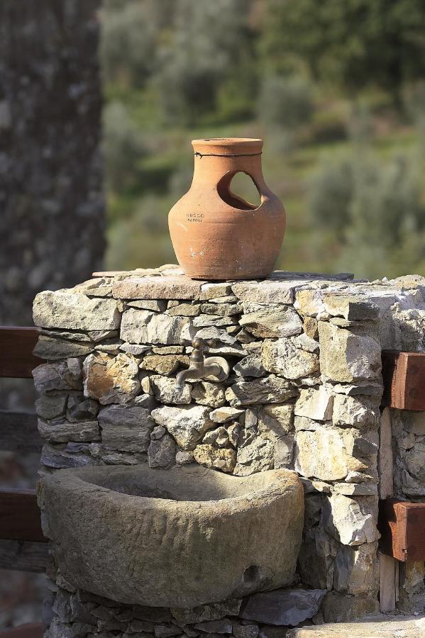 La Corte Del Falco Pieve a Nievole Zewnętrze zdjęcie